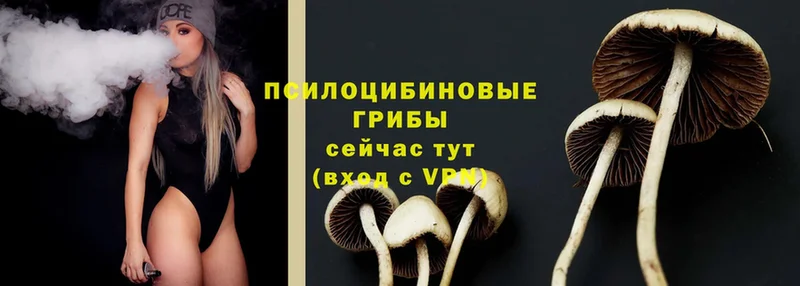 Псилоцибиновые грибы MAGIC MUSHROOMS  Арамиль 